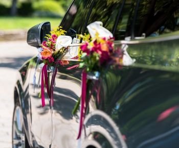 Wedding Transportation